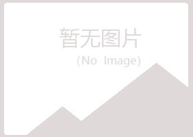 吉林丰满晓夏机械有限公司